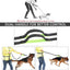 Hands Free Dog Leash, Suitable for Running Walking Jogging Hiking, Training for Small Medium and Large Dogs, Adjustable Waist Belt, Dual-Handle Reflective Bungee, Zipper Pouch. (Black W Green)